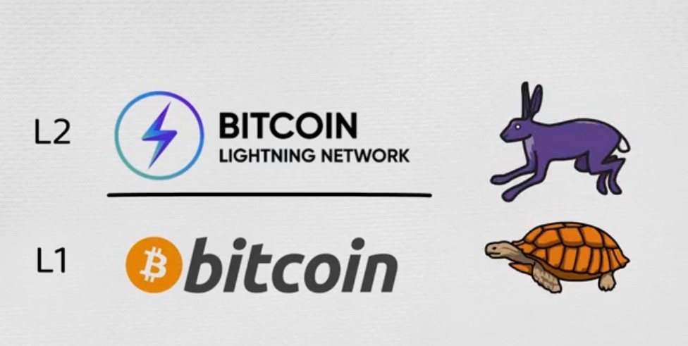 Lightning Network bitcoin