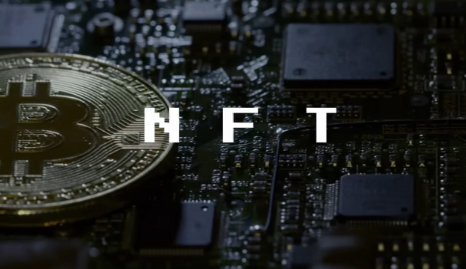 NFTs: Más Allá del Hype - La Reinvención Digital de la Propiedad y el Valor 17 NFTs monkeys